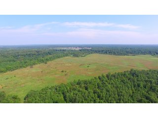 Farmland in Pulaski County, Arkansas - ABSOLUTE ARKANSAS REAL ESTATE AUCTION - 1,200+/- ACRES OFFERED IN 6 TRACTS IN PULASKI COUNTY, ARKANSAS